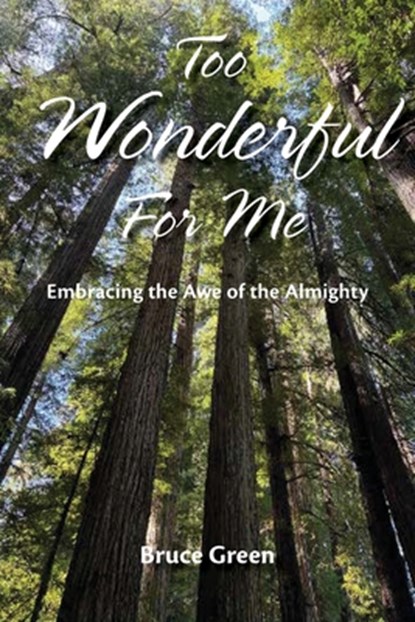 Too Wonderful for Me, Bruce Green - Paperback - 9781964805245