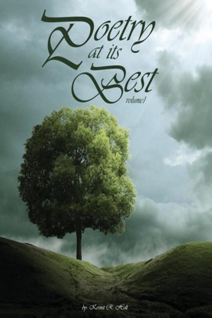 Poetry at Its Best, Kermit R. Holt - Paperback - 9781964929750