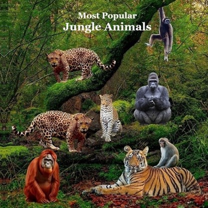 Most Popular Jungle Animals Kids Book: Great Children's Book About Animals of the Jungle, Kinsey Marie - Paperback - 9781965098301