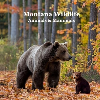 Montana Animals and Mammals Wildlife Book: Great Montana Animals book with Lifelike Images and Fun Facts, Kinsey Marie - Paperback - 9781965098721