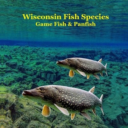 Wisconsin Game Fish and Panfish Species Kids Book: Great Book About the Different Types of Fish in Wisconsin, Kinsey Marie - Paperback - 9781965098790