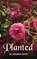 Planted, Sharon Rose - Paperback - 9781965138861