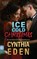 Ice Cold Christmas, Cynthia Eden - Paperback - 9781965259481