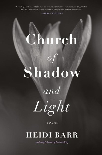 Church of Shadow and Light, Heidi Barr - Paperback - 9781965320341