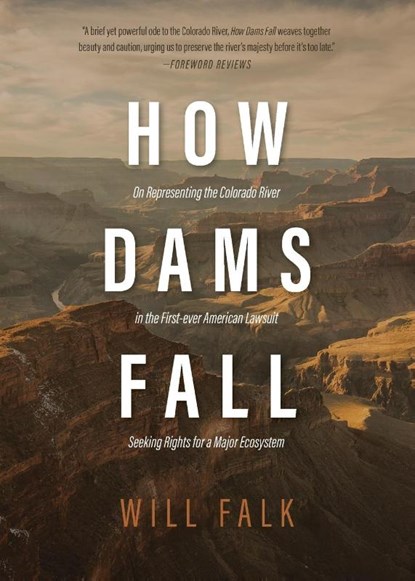 How Dams Fall, Will Falk - Paperback - 9781965320396