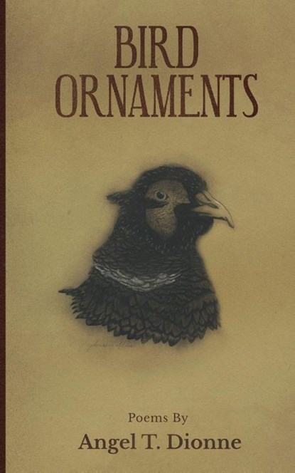 Bird Ornaments, Angel T Dionne - Paperback - 9781965412022