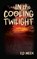 In the Cooling Twilight, Ed Meek - Paperback - 9781965412435