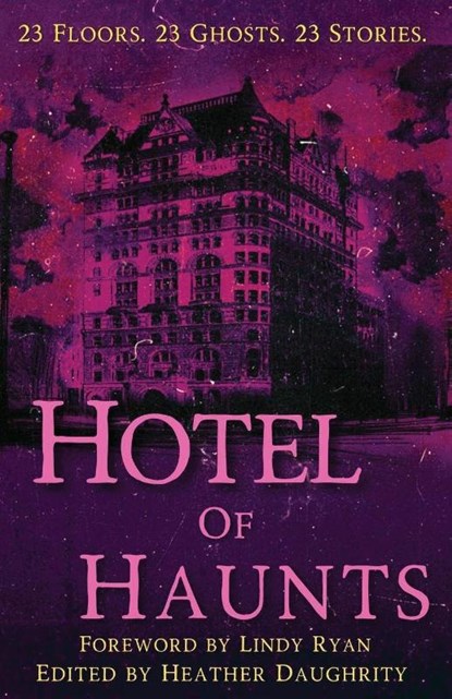 Hotel of Haunts, Heather Daughrity - Paperback - 9781965546222
