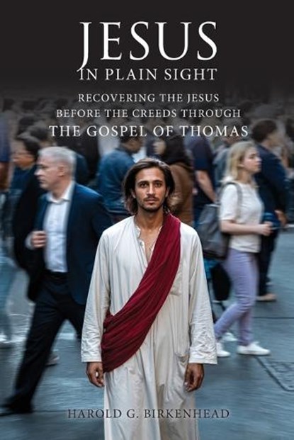 Jesus in Plain Sight, Harold G Birkenhead - Paperback - 9781965646878
