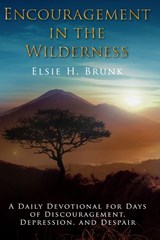 Encouragement in the Wilderness - Elsie H. Brunk - 9781965649091