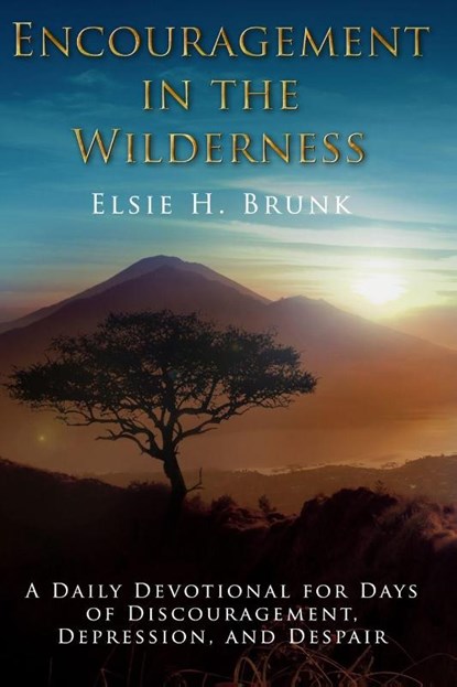 Encouragement in the Wilderness, Elsie H. Brunk - Paperback - 9781965649091