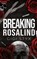 Breaking Rosalind, Gigi Styx - Paperback - 9781965738054