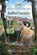 Ruffled Feathers, Roseanna M. White - Paperback - 9781965859889