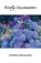 Firefly Encounters, Cynthia Schumacher - Paperback - 9781965950807