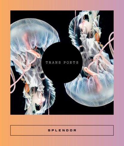 Splendor, Sarah Coolidge - Paperback - 9781966192022