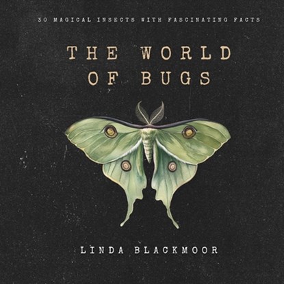The World of Bugs, Linda Blackmoor - Paperback - 9781966417293