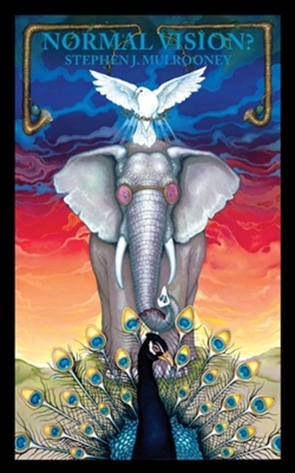 Normal Vision?, Stephen J. Mulrooney - Paperback - 9781966476030