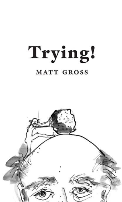 Trying!, Matt Gross - Paperback - 9781966661009