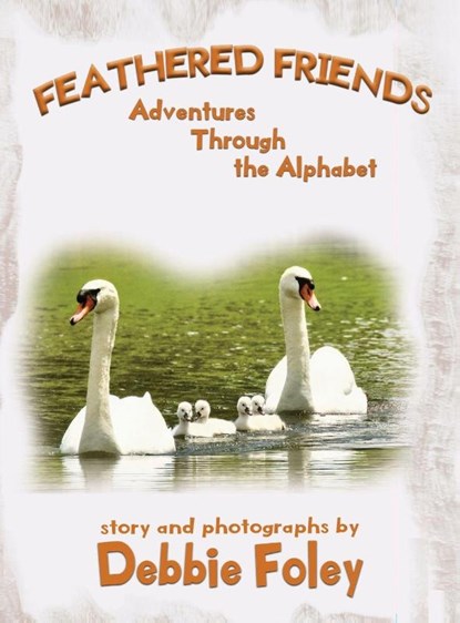 Feathered Friends, Debbie Foley - Gebonden - 9781966675525