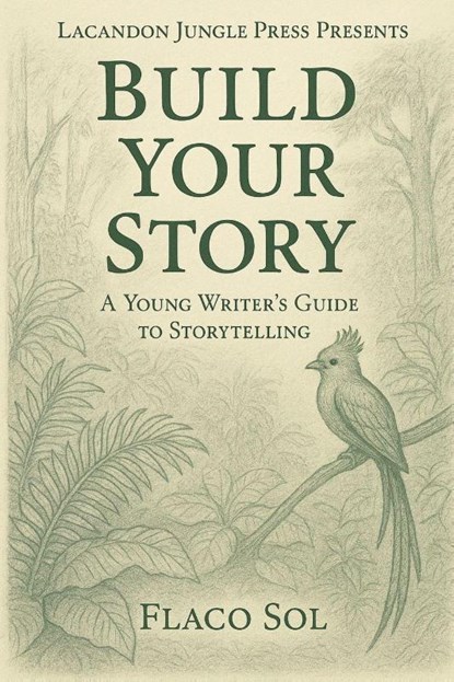 Build Your Story, Flaco Sol - Paperback - 9781967354092