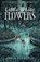 Little White Flowers, Amber Hathaway - Paperback - 9781967381005