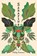 Sarafina, Philip Fracassi - Paperback - 9781968043049
