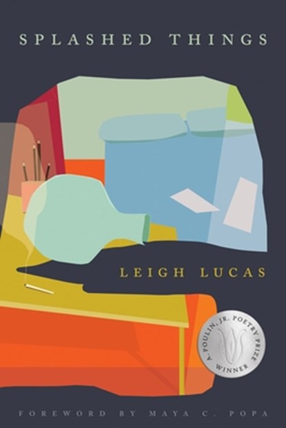 Splashed Things, Leigh Lucas - Gebonden - 9781968507053