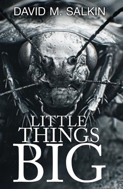 Little Things Big, David M. Salkin - Paperback - 9781968532499