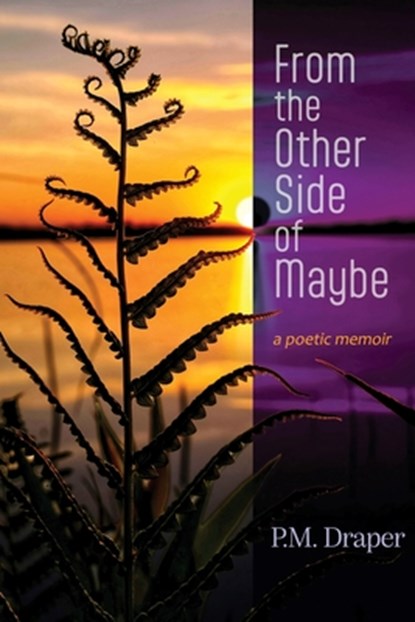 From the Other Side of Maybe, P. M. Draper - Paperback - 9781968610180
