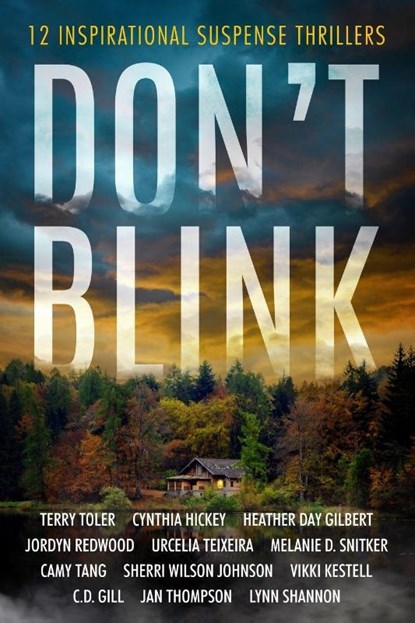 Don't Blink, Terry Toler ; Cynthia Hickey ; Heather Day Gilbert - Paperback - 9781968792145