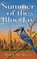 Summer of the Blue Jay, Mike Demaio - Paperback - 9781969572357