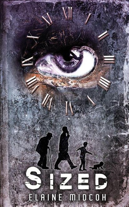 Sized, Elaine Midcoh - Paperback - 9781969655791