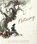 Noticing, Kobi Yamada - Gebonden - 9781970147896