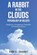 A Rabbit in the Clouds, Daniel Chabot - Paperback - 9781970528428