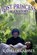 Lost Princess, Kathleen Garnsey - Paperback - 9781970560244