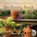 The Potting Bench, Beth Fortune - Paperback - 9781970582062