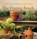 The Potting Bench, Beth Fortune - Gebonden - 9781970582093