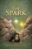 The Spark, Danice Rinderknecht MD - Paperback - 9781970582130