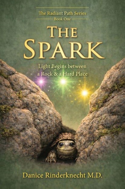 The Spark, Danice Rinderknecht MD - Paperback - 9781970582130