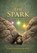 The Spark, Danice Rinderknecht MD - Gebonden - 9781970582147