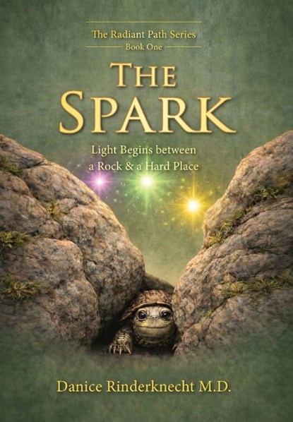 The Spark, Danice Rinderknecht MD - Gebonden - 9781970582147