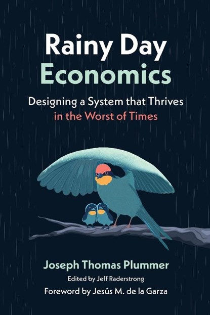 Rainy Day Economics, Joseph Thomas Plummer - Paperback - 9781970853674