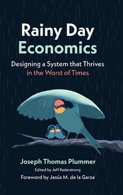 Rainy Day Economics, Joseph Thomas Plummer - Gebonden - 9781970853681