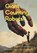 Giant Counting Robots, Spearman Burke - Paperback - 9781971507040