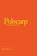 Polycarp, MENCH,  John - Paperback - 9781973642718