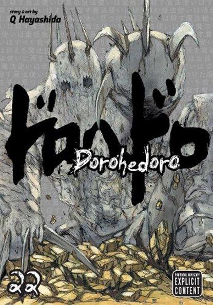 Dorohedoro, Vol. 22, Q-Hayashida - Paperback - 9781974700233