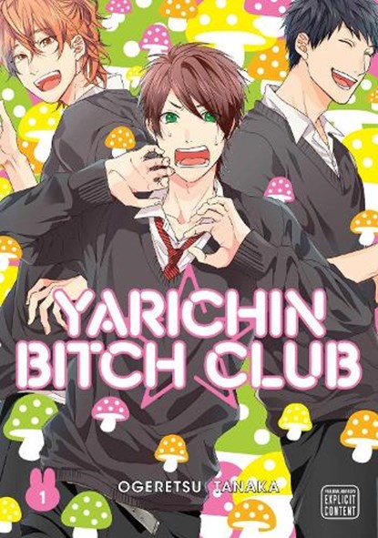 Yarichin Bitch Club, Vol. 1, Ogeretsu Tanaka - Paperback - 9781974709281