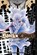 Black Clover, Vol. 21, Yuki Tabata - Paperback - 9781974714766