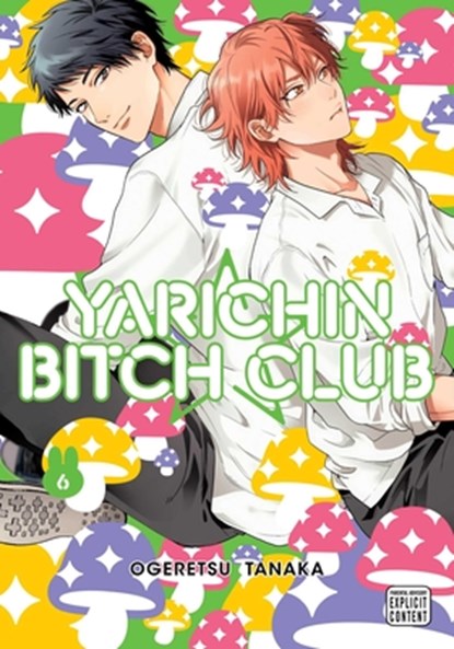 Yarichin Bitch Club, Vol. 6, Ogeretsu Tanaka - Paperback - 9781974761296