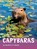 Capybaras, Martha E. H. Rustad - Paperback - 9781977126474